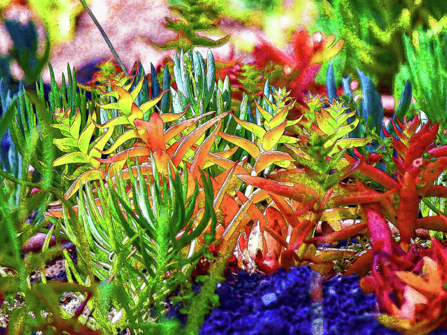 Succulent Garden Painterly I Digital Art by Linda Brody
