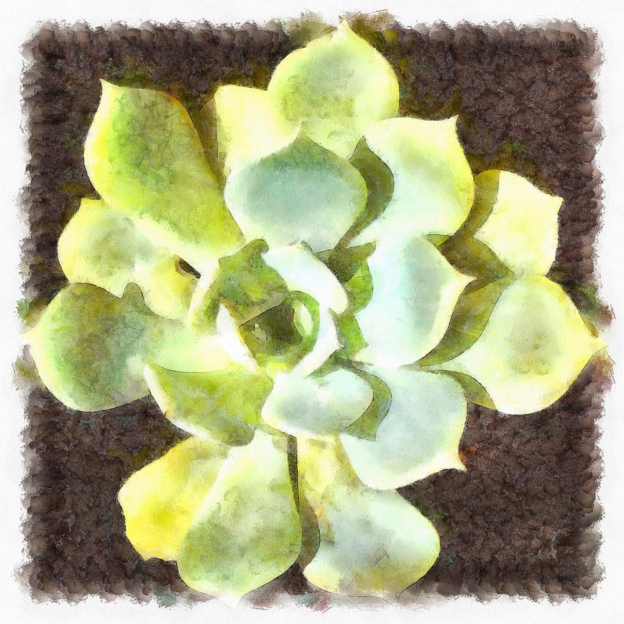 Succulent Garden Plant With Dew Painting by Taiche Acrylic Art