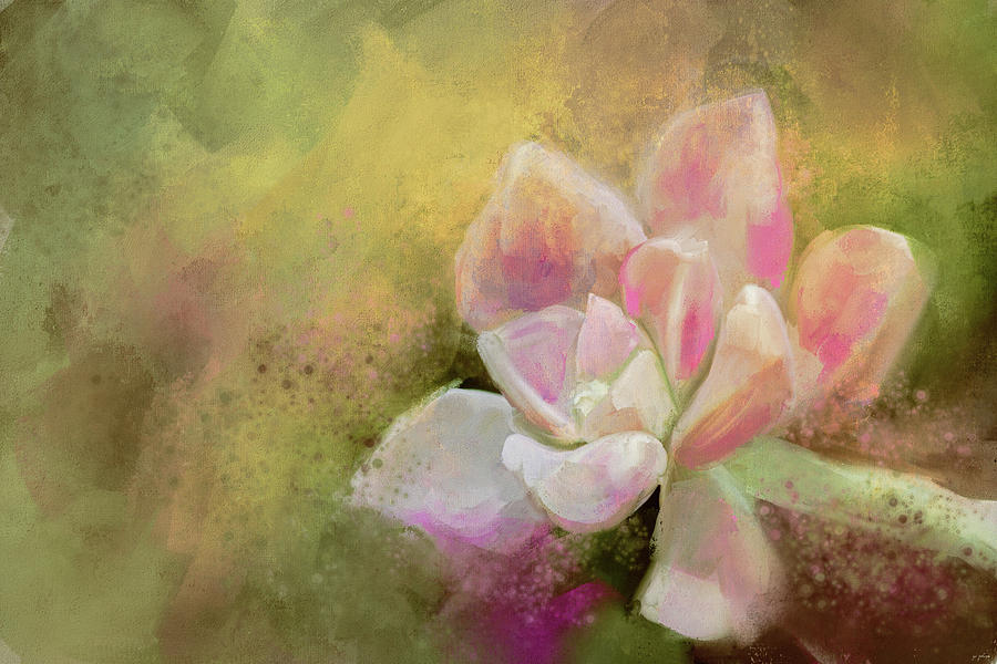 Abstract Painting - Succulent In The Garden by Jai Johnson