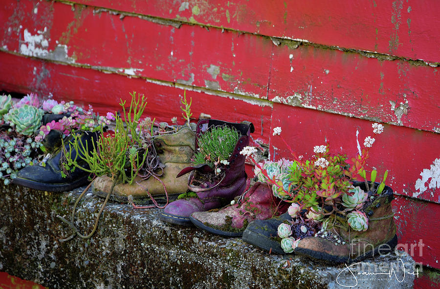 Succulent Kiwi Shoes by Joanne West Succulent Kiwi Shoes by Joanne West