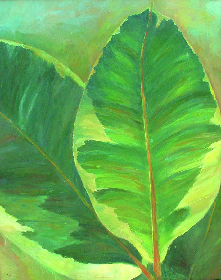 Succulent Leaves Painting by Tatjana Matic | Pixels