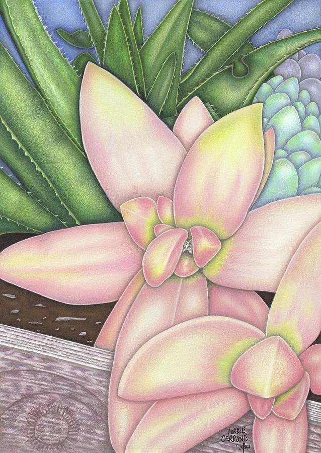Nature Drawing - Succulent Surprise by Lorrie Cerrone