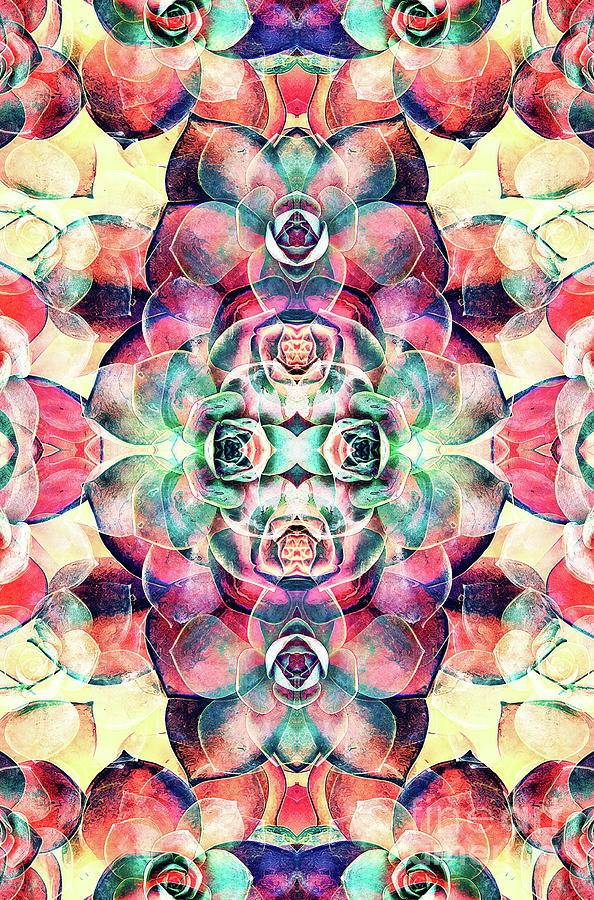 Succulents Abstract Digital Art by Phil Perkins