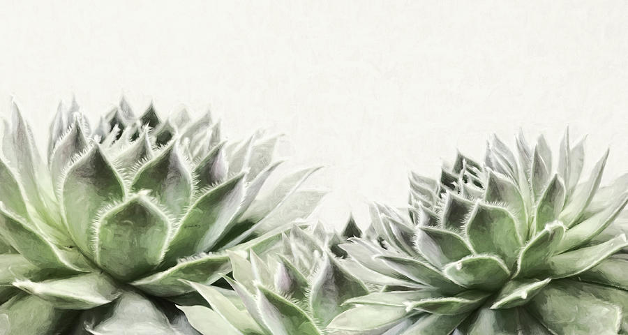 Succulents Mixed Media by Lori Deiter