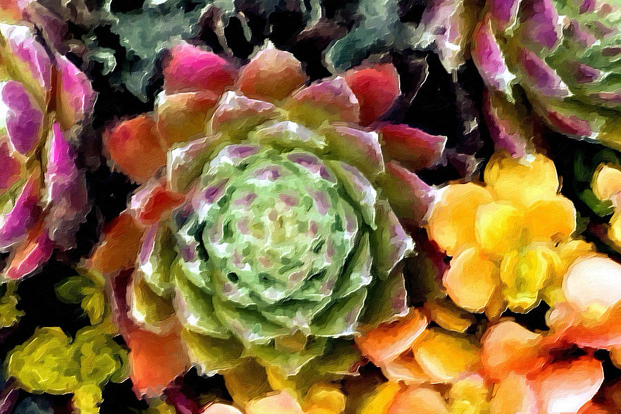 Succulents No1 Painting by Bonnie Bruno
