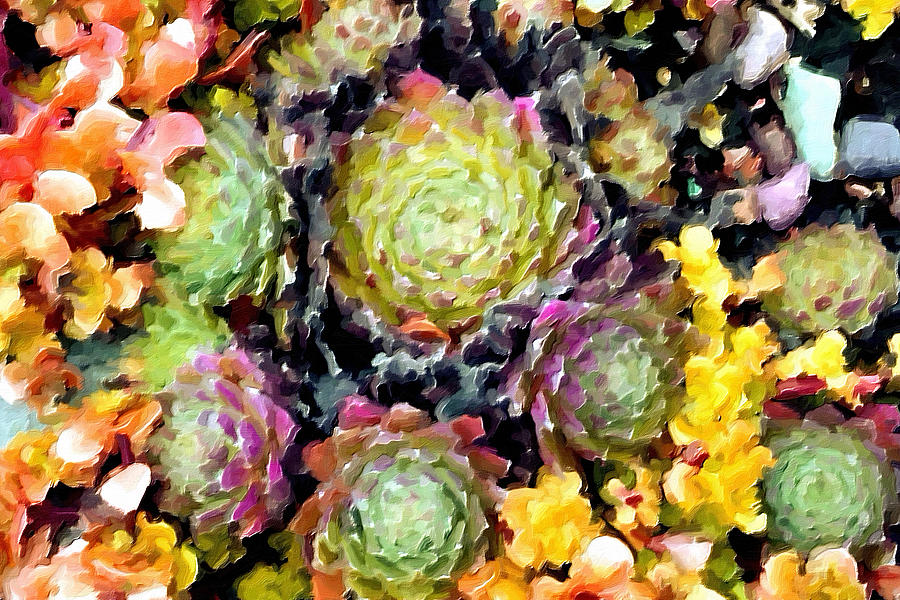 Succulents No2 Painting by Bonnie Bruno