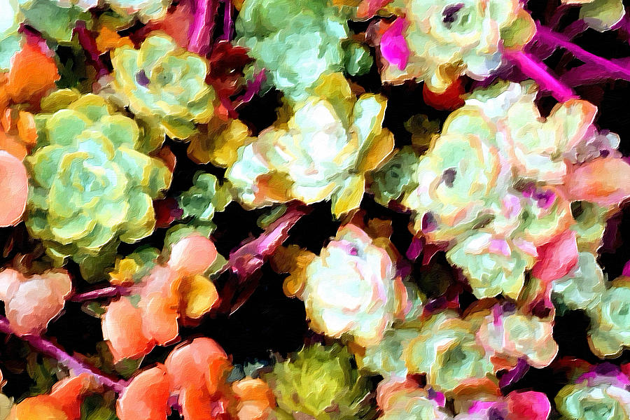 Succulents No.3 Painting by Bonnie Bruno