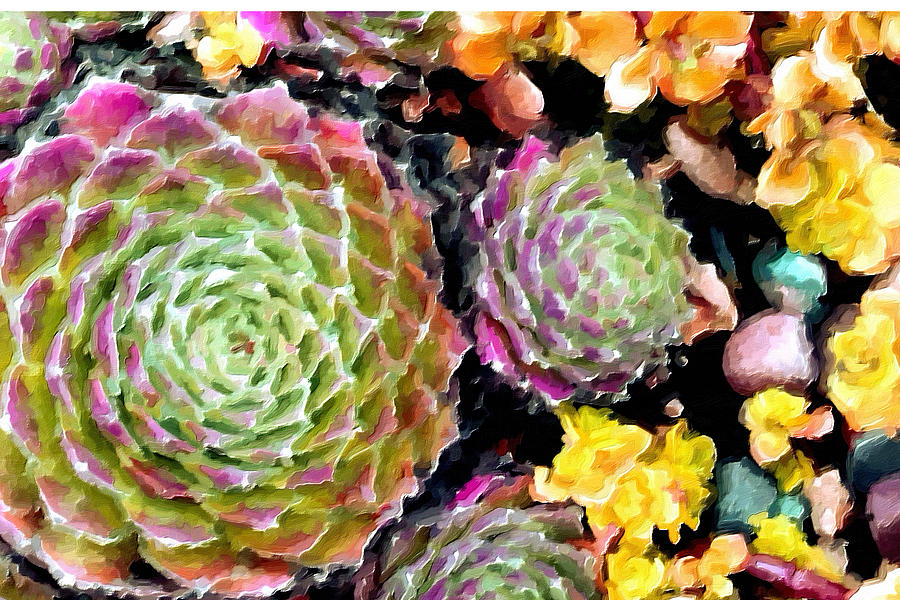 Succulents No4 Painting by Bonnie Bruno