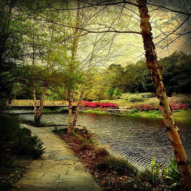 Garden Photograph - Such A Perfect Day At Bellingrath by Joan McCool