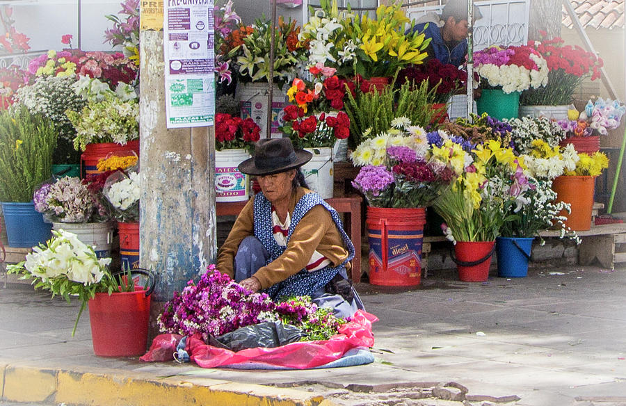 Sucre, Bolivia Flower Market Photograph by Venetia Featherstone-Witty
