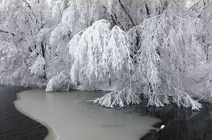 Sudbury Reservoir Winter Scenery Photograph by Juergen Roth