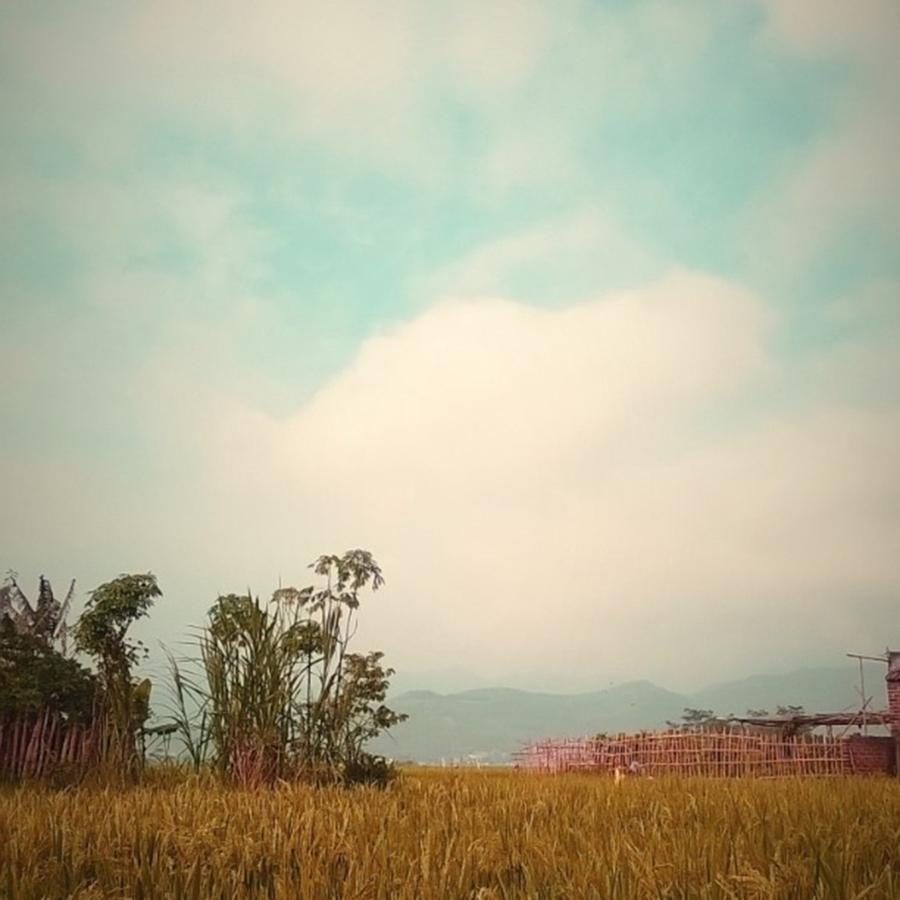 Landscape Photograph - Suddenly The Rice Field Which Starts by Dadi Setiadi