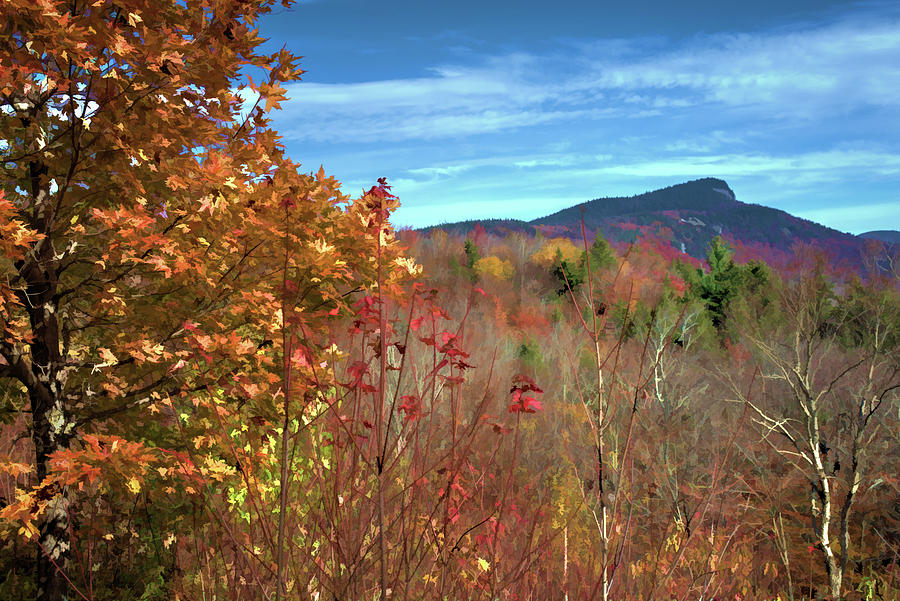 Sugar Hill Fall Colors Photograph by David Thompsen