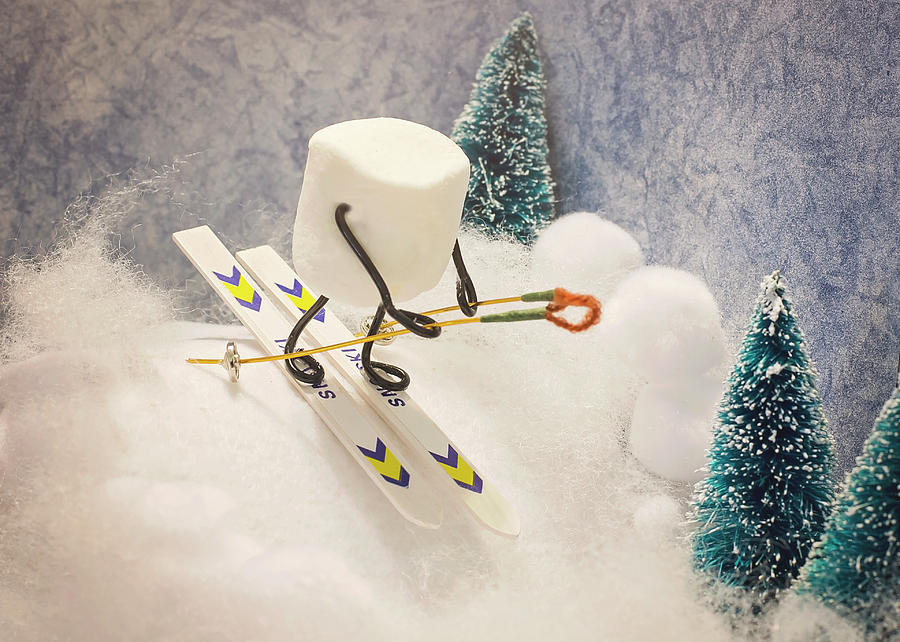 Christmas Photograph - Sugar Hill Skier by Heather Applegate