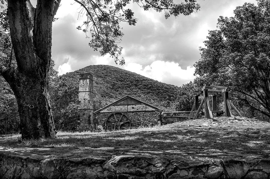 Sugar Plantation Ruins BW Photograph by Steven Clark