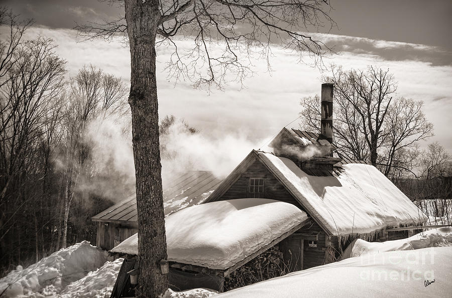 Winter Photograph - Sugar Shack  by Alana Ranney