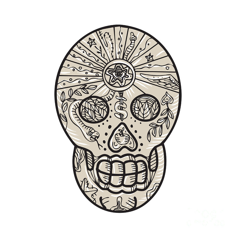 Snake Digital Art - Sugar Skull Tattoo Etching by Aloysius Patrimonio