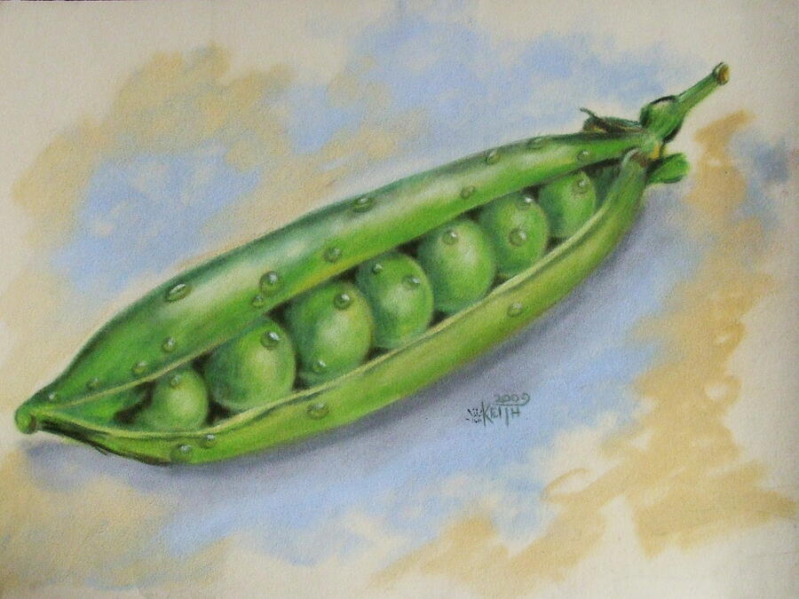 Sugar Snap Peas Pastel by Barbara Keith