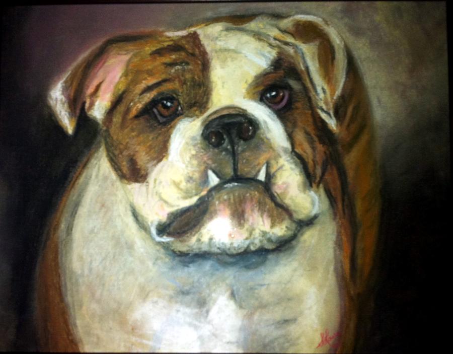 Sugar the Bull Dog Painting by Susan Lang - Fine Art America