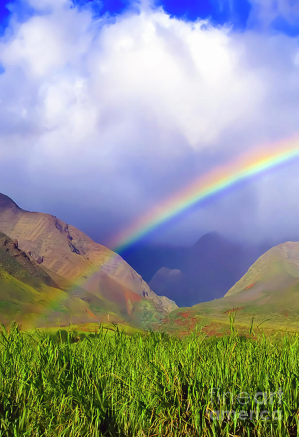 Sugarcane Rainbow Photograph by Jim Cazel