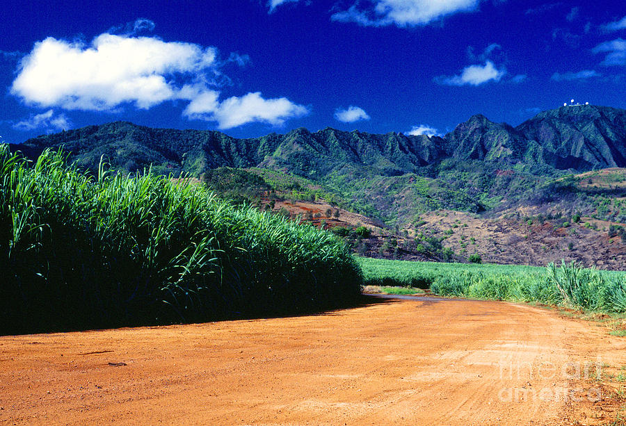 Sugarcane Waianae Mountains Photograph by Thomas R Fletcher