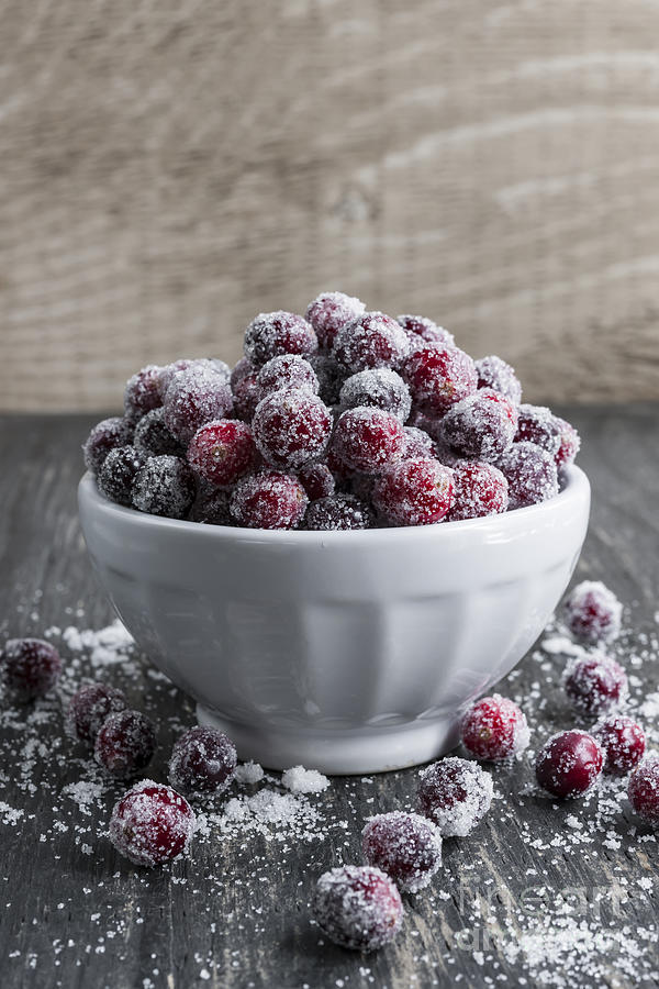 Sugared cranberries 2 Photograph by Elena Elisseeva