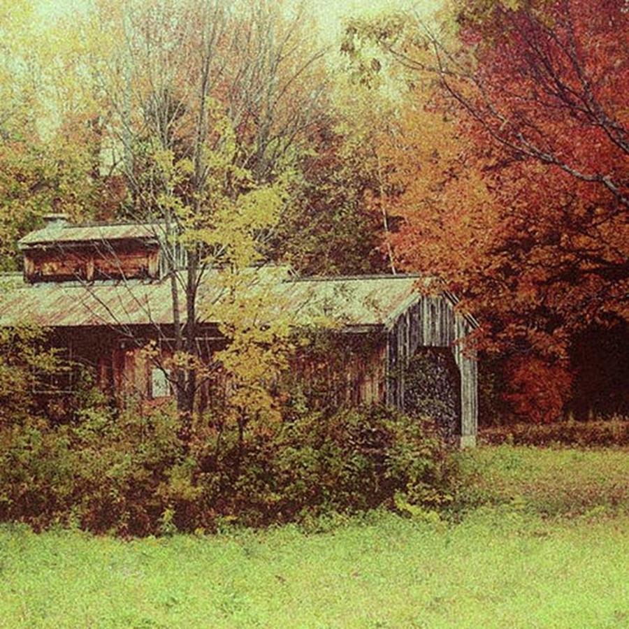 Landscape Photograph - Sugarhouse In Autumn Photograph By Jeff by Jeff Folger