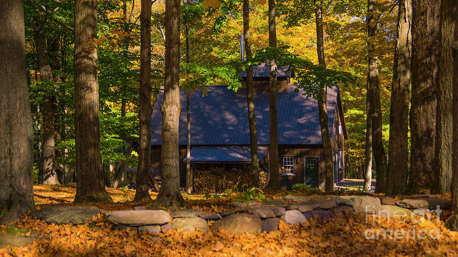 Sugarhouse in the woods Photograph by Scenic Vermont Photography