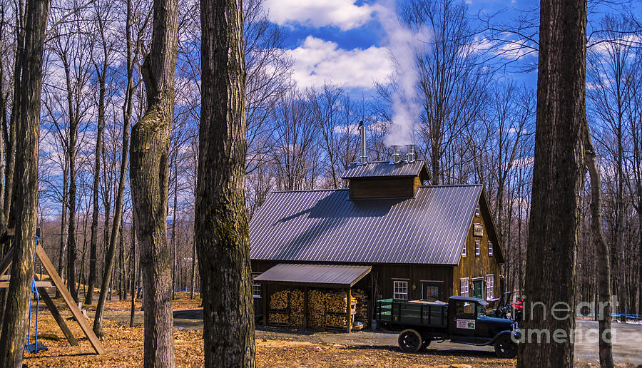 Sugarhouse in Vermont Photograph by Scenic Vermont Photography