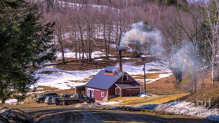 Sugaring season in Vermont Photograph by Scenic Vermont Photography