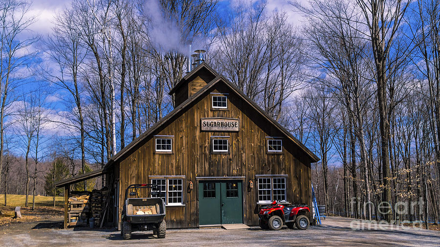 Sugaring Season Photograph by Scenic Vermont Photography