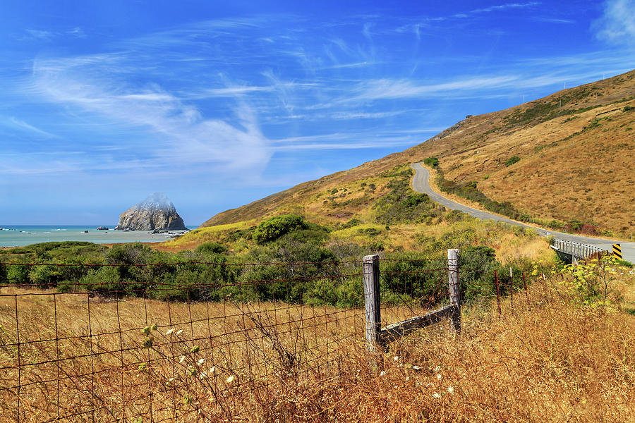 Sugarloaf Island On The Lost Coast Photograph by James Eddy