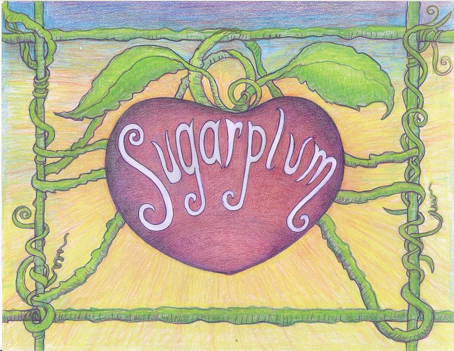 Sugarplum #2 Drawing by Cynthia Silverman