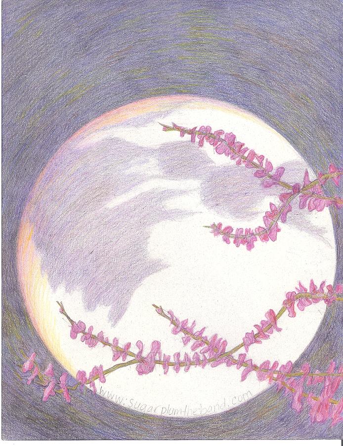 Sugarplum #9 Drawing by Cynthia Silverman