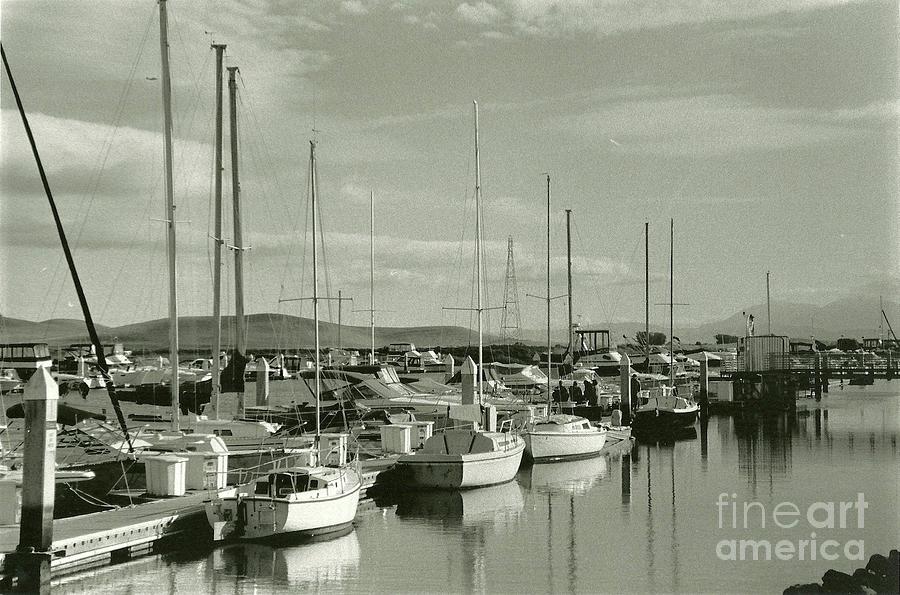 Suisun Marina in black and white. Photograph by Donna Parker