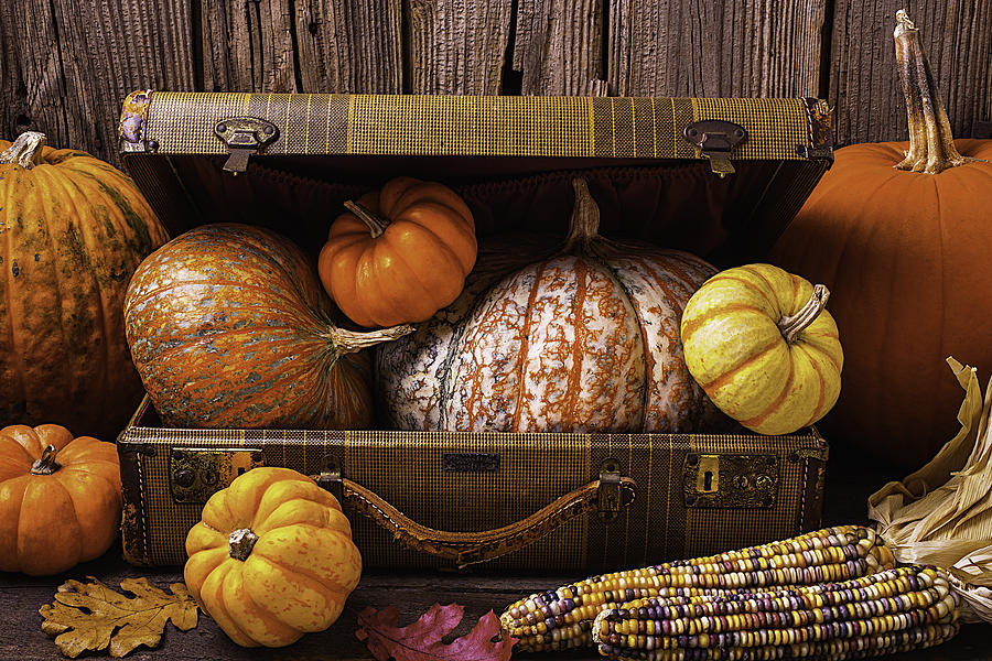 Fruit Photograph - Suitcase Full Of Pumpkins by Garry Gay