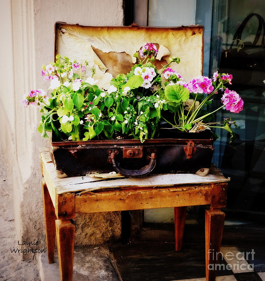 Flower Photograph - Suitcase of Flowers by Lainie Wrightson