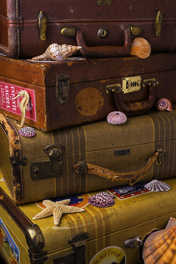 Suitcases With Seashells Photograph by Garry Gay