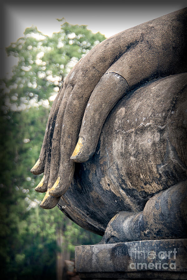 Sukhothai Buddha Photograph by Adrian Evans
