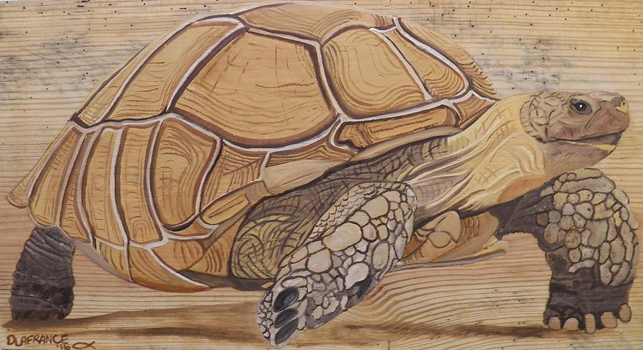 Turtle Painting - Sulcata Tortoise by Debbie LaFrance