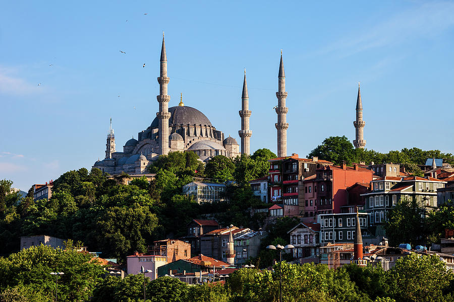 Suleymaniye Mosque and Traditional Houses in Istanbul Photograph by Artur Bogacki