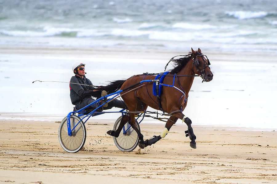 Sulky racing on the beach Photograph by Frank Fullard - Pixels