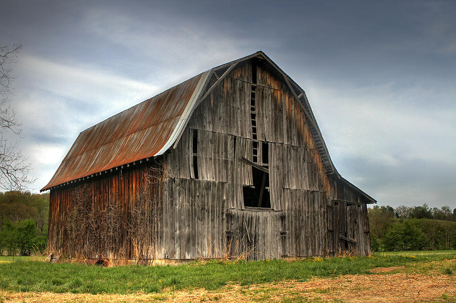 Sullivan County Barn Photograph by Earl Carter - Fine Art America