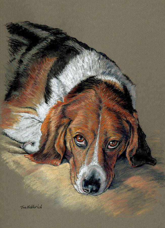 Dog Pastel - Sully by Tom Hedderich