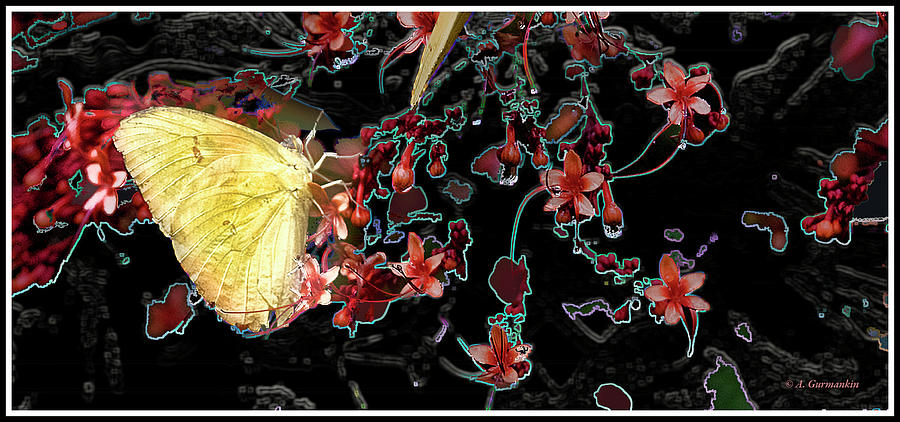 Sulphur Butterfly Digital Art by A Macarthur Gurmankin