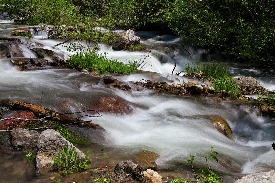Sulphur Creek Photograph by Rick Pisio