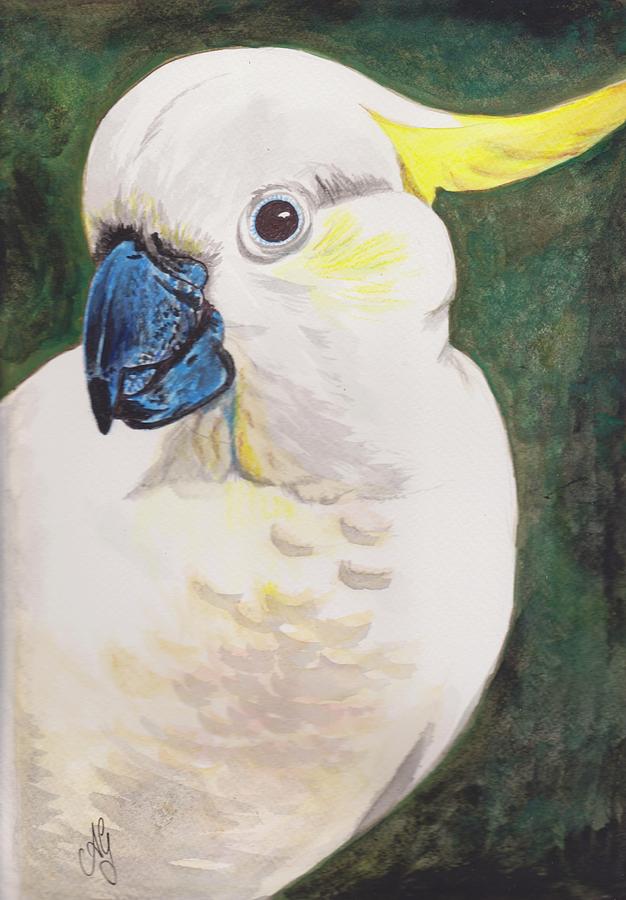 Sulphur crested cockatoo Painting by Anne Gardner