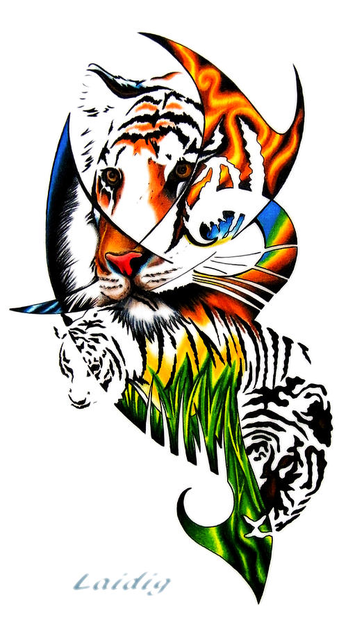 Sumatran Tiger Bomb Drawing by Aarron  Laidig