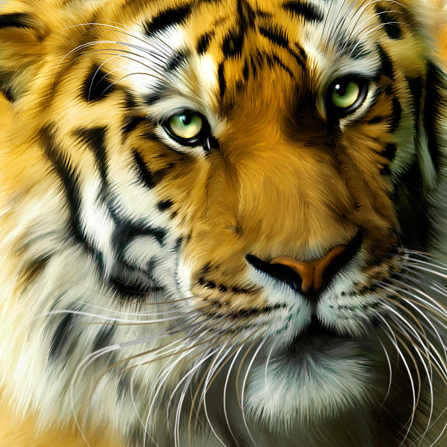 Tiger Digital Art - Sumatran Tiger Closeup Portrait by Julie L Hoddinott