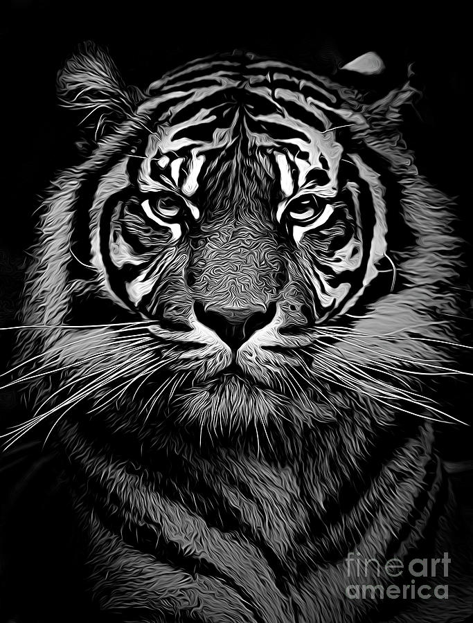 Sumatran tiger expressionism in mono Photograph by Sheila Smart Fine Art Photography
